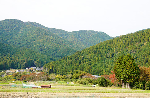 (田んぼ・畑・山林の売却はハウシードにお任せください