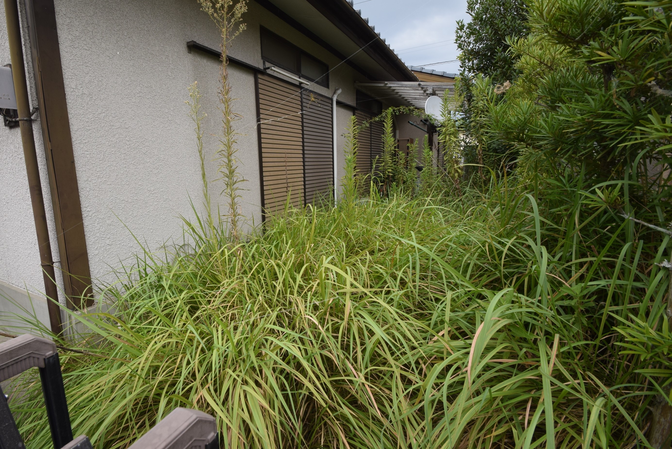 相続財産（庭）の対処について