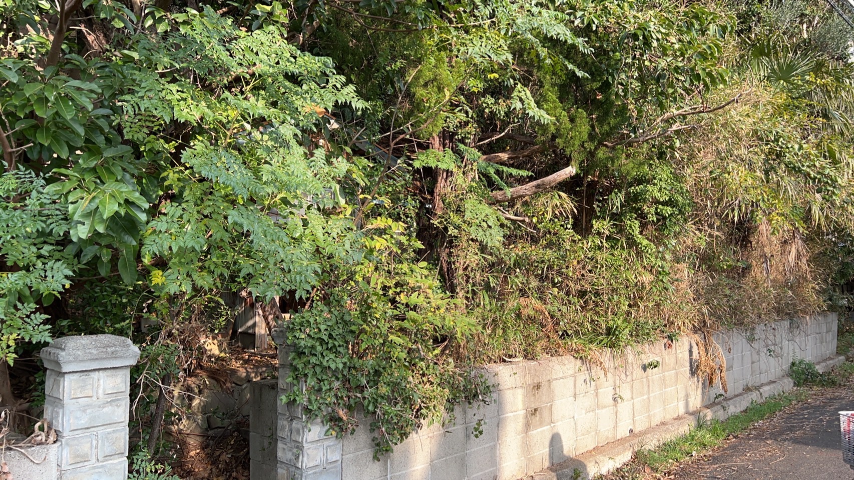 遊休地の末路・土地をそのままにしておくと！