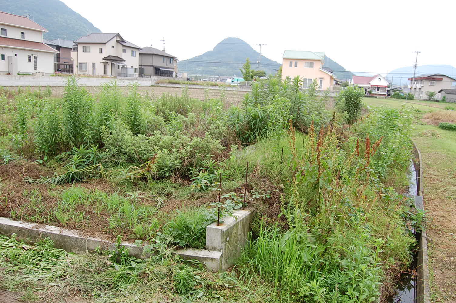 いらない土地を国庫に帰属できる制度が2023年4月から